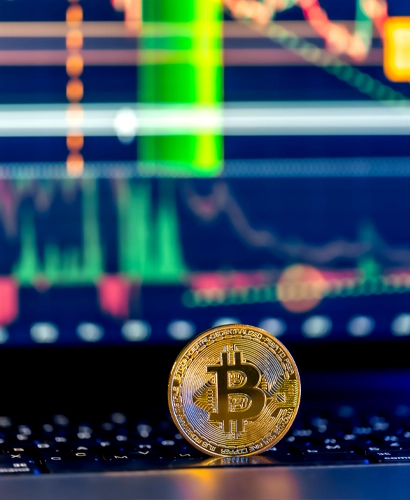 Bit V8 Bumex Ticaret Bilgileri